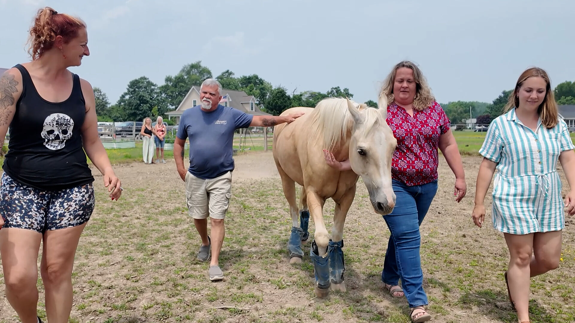 Coastal Connections: Compassionate Hearts Lincoln offers a new path to healing with horses